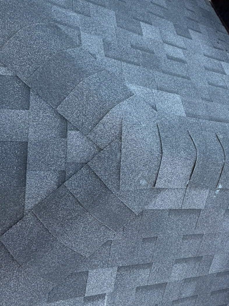 Finished shingle roof installed by Ribonga